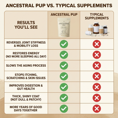Ancestral Pup Beef Organs Powder
