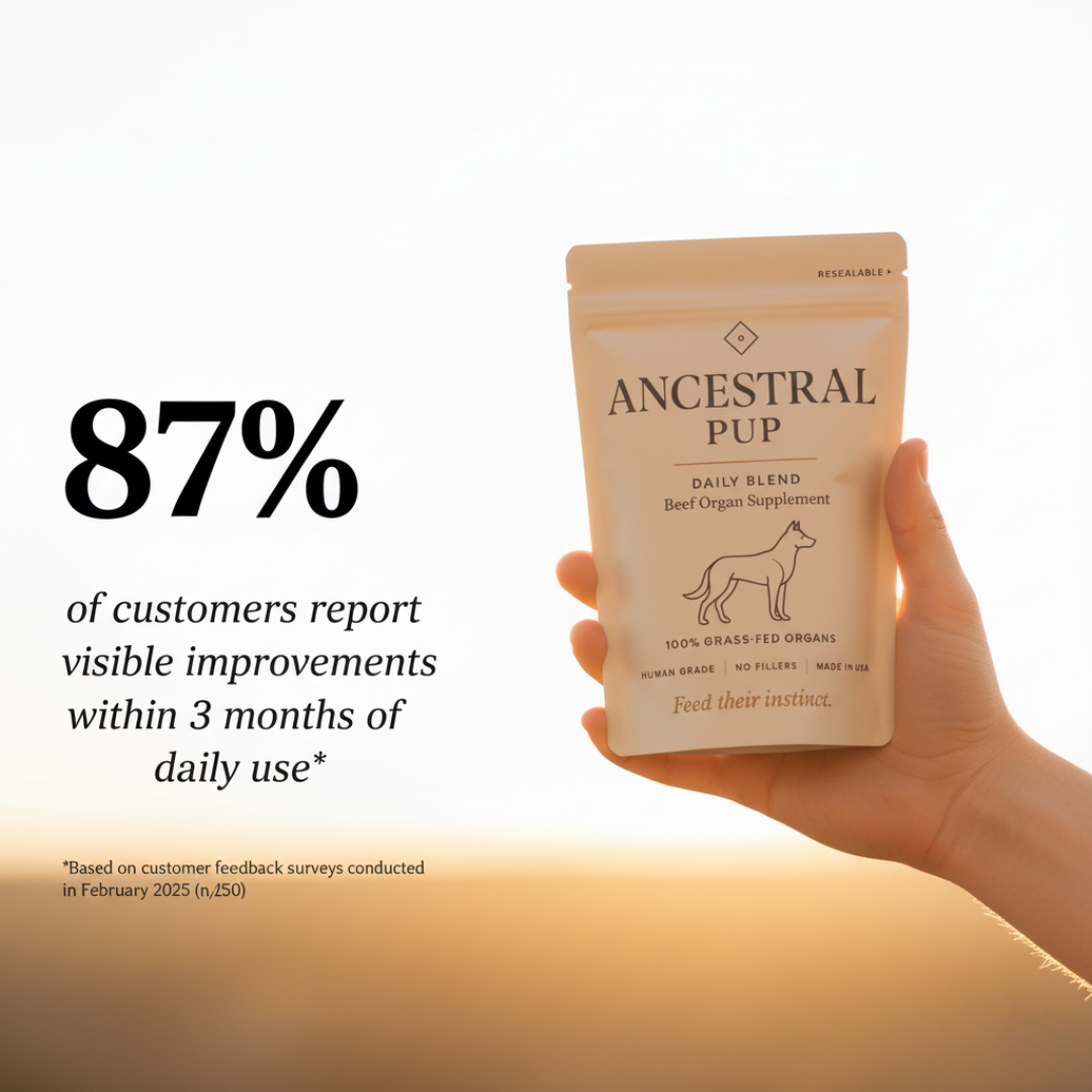 Ancestral Pup Beef Organs Powder