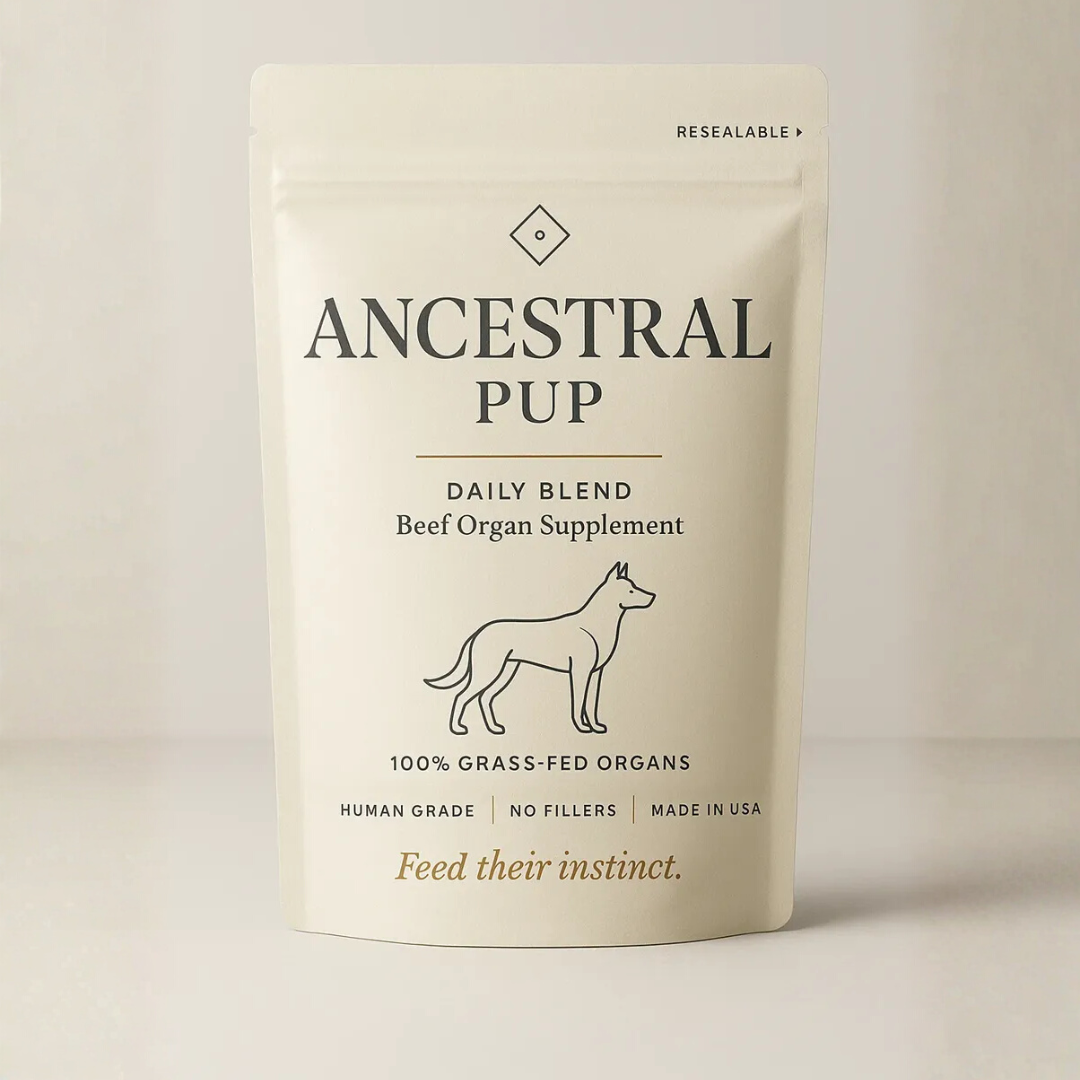 Ancestral Pup Beef Organs Powder