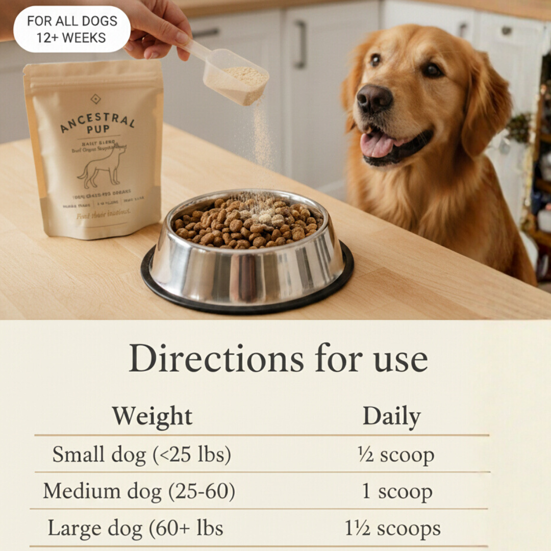 Ancestral Pup Beef Organs Powder