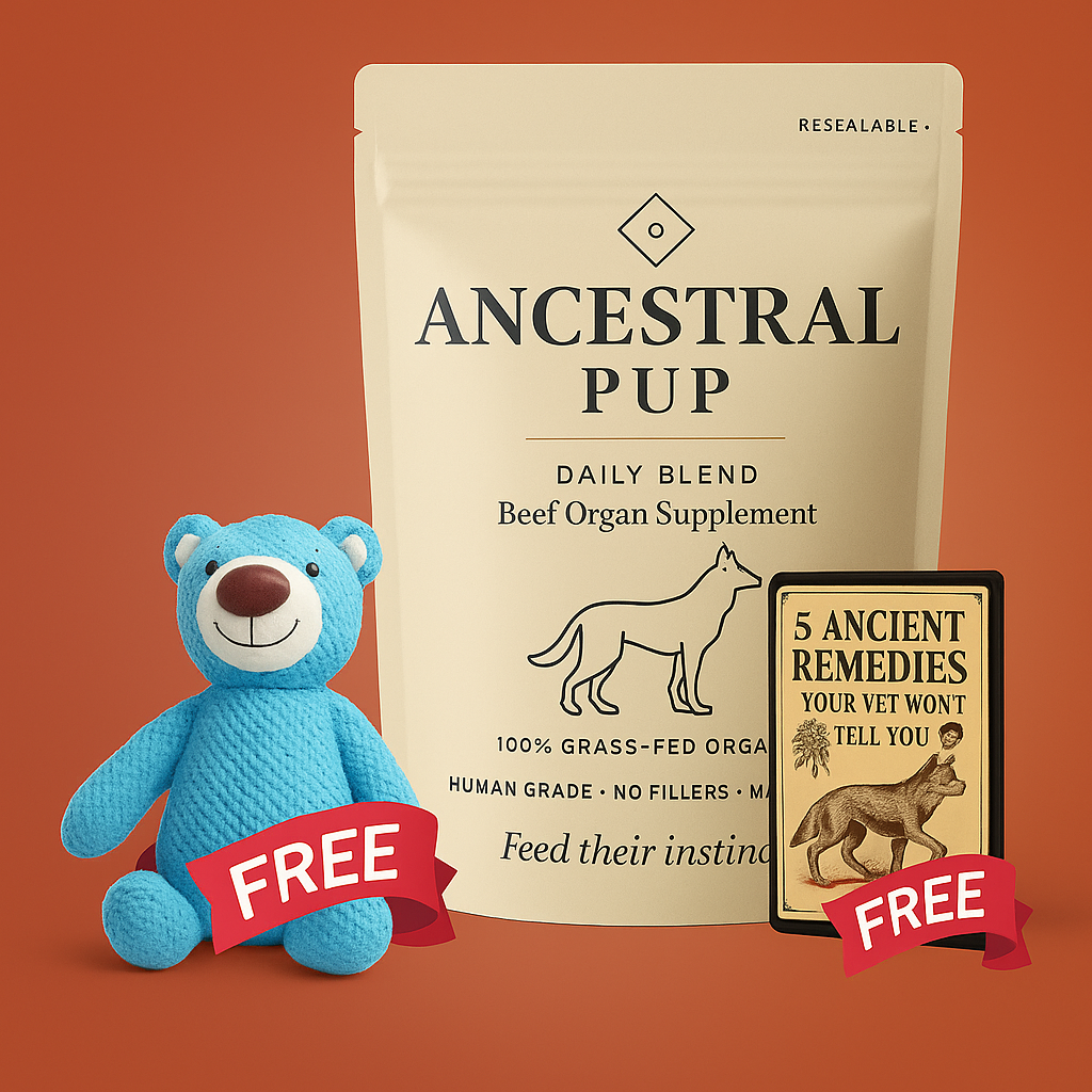 Ancestral Pup Beef Organs Powder