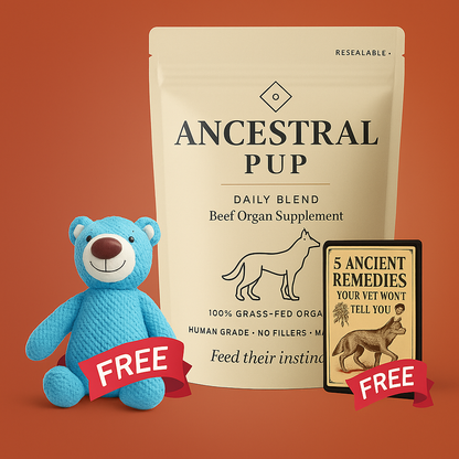 Ancestral Pup Beef Organs Powder