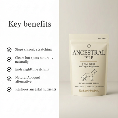 Ancestral Pup Beef Organs Powder